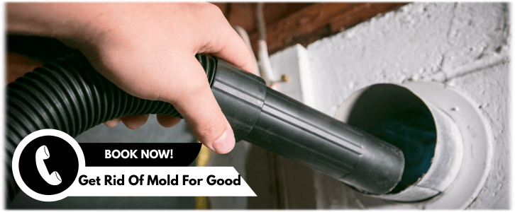 Air Duct Mold Removal in Mesquite